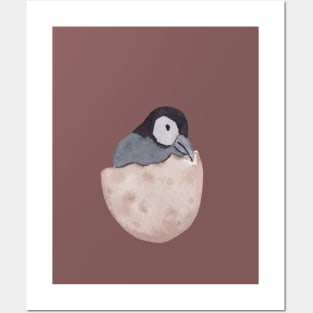 Baby Penguin Hatchling Posters and Art